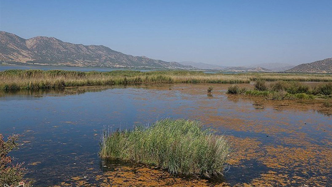 تالاب زریبار 