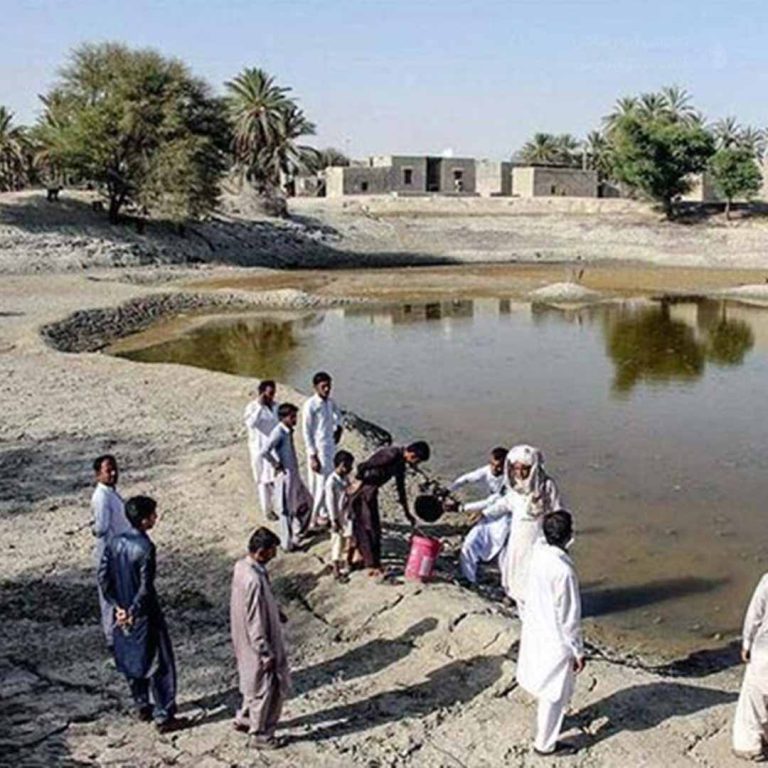 هوتگ‌ها بلای جان مردم سیستان و بلوچستان شده اند