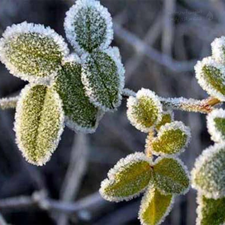 کاهش ۱۰ درجه‌ای دما و  هشدار سرمازدگی برای کشاورزان